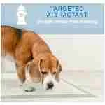 Four Paws Wee-Wee Superior Performance Eco Pee Pads for Dogs - Earth-Friendly Dog & Puppy Pads for Potty Training - Dog Housebreaking & Puppy Supplies - 22" x 23" (50 Count),White - Image 6