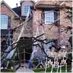 200" Halloween Spider Web + 59" Giant Spider Decorations Fake Spider with Triangular Huge Spider Web for Indoor Outdoor Halloween Decorations Yard Home Costumes Parties Haunted...