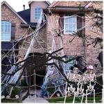200" Halloween Spider Web + 59" Giant Spider Decorations Fake Spider with Triangular Huge Spider Web for Indoor Outdoor Halloween Decorations Yard Home Costumes Parties Haunted...