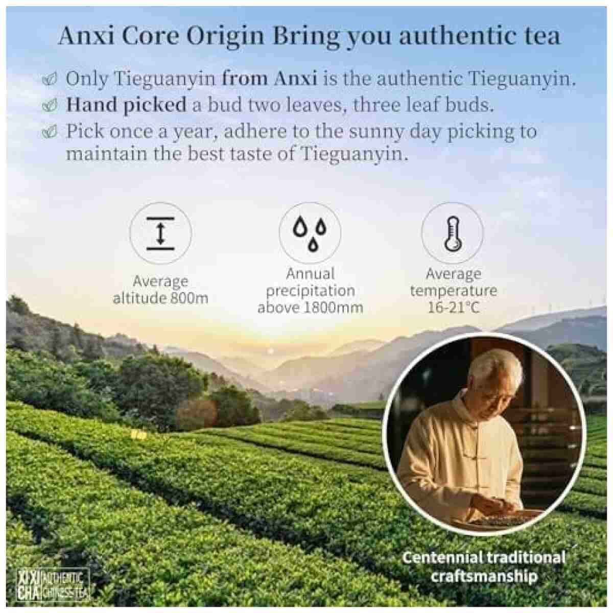 XIXICHA Anxi Tie Guan Yin Oolong Tea Tieguanyin Tea Iron Goddess Oolong Tea Long Lasting Orchid Fragrance Premium Chinese tea High Mountain oolong Tea Grade AAA 安溪铁观音 浓香型...