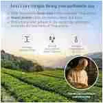 XIXICHA Anxi Tie Guan Yin Oolong Tea Tieguanyin Tea Iron Goddess Oolong Tea Long Lasting Orchid Fragrance Premium Chinese tea High Mountain oolong Tea Grade AAA 安溪铁观音 浓香型...