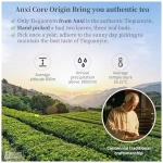 XIXICHA Anxi Tie Guan Yin Oolong Tea Tieguanyin Tea Iron Goddess Oolong Tea Long Lasting Orchid Fragrance Premium Chinese tea High Mountain oolong Tea Grade AAA 安溪铁观音 浓香型...