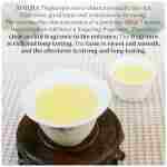 XIXICHA Anxi Tie Guan Yin Oolong Tea Tieguanyin Tea Iron Goddess Oolong Tea Long Lasting Orchid Fragrance Premium Chinese tea High Mountain oolong Tea Grade AAA 安溪铁观音 浓香型...