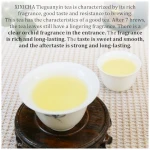 XIXICHA Anxi Tie Guan Yin Oolong Tea Tieguanyin Tea Iron Goddess Oolong Tea Long Lasting Orchid Fragrance Premium Chinese tea High Mountain oolong Tea Grade AAA 安溪铁观音 浓香型...
