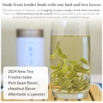 XIXICHA Longjing Green Tea 2024 New Tea Grade AAA Dragon Well Green Tea Loose Leaf Hangzhou Dragonwell Tea Chinese Green Tea Fresh Bean Aroma 龙井茶 绿茶 明前龙井 中国茶叶 4.23oz/120g