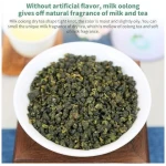 XIXICHA Milk Oolong Tea Loose Leaf Jin Xuan Milk Oolong Tea Taiwan Tea Taiwan Oolong Tea High Mountain Taiwan Gaoshan Ulong Tea Taiwanese Natural Milk and Creamy Aroma,Taste...