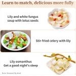 Hee Creek Dried Lily Bulb 240g (120g*2) 8.5oz herbal tea,lily bulb dried Bai He dried lily baihe,dried lily flower 百合干 无硫百合干 银耳莲子羹原料 龙牙百合