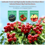 Hee Creek hawthorn berry tea山楂 Seedless Dried Hawthorn Slices 7.06oz / 200g Sun-Dried Hawthorn Slices, Tea Infusion, Naturally Dried Berry Slices, 无核山楂干 山楂片