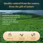 Himalayan Buckwheat Tartary 540g/19oz Buckwheat Tartary,Roasted Buckwheat,Pure Nature Buckwheat Tea黑苦荞 苦荞茶