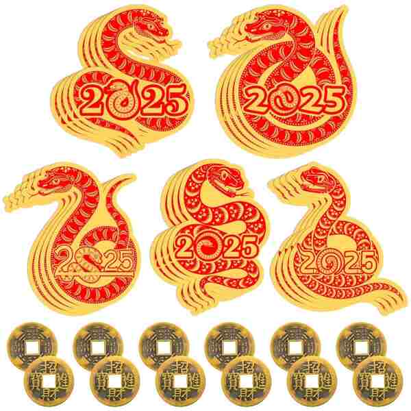 100 Pcs Chinese New Year Scratch Off Cards 2025 Year of The Snake Fortune Cards with 25 Chinese New Year Coin Chinese Decorations Money Good Luck Charms for Party Games Culture...