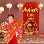 2025 Chinese New Year Door Cover, Chinese New Year Banner 2025 Year of The Snake Banner, 2025 Chinese New Year Decorations, China Spring Festival Lunar New Year Decor