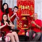 Avezano Chinese New Year Decorations 2025 Chinese New Year Banner Lunar New Year Decorations 2025 Year of the Snake Door Cover Decorations
