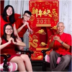 Avezano Chinese New Year Decorations 2025 Chinese New Year Banner Lunar New Year Decorations 2025 Year of the Snake Door Cover Decorations