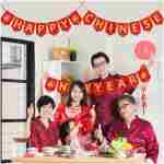 Blulu 23 Pieces Chinese New Year Bunting Banner Letter 2025 Year of Snake Party Bunting Banner Festive Decorations for Chinese New Year