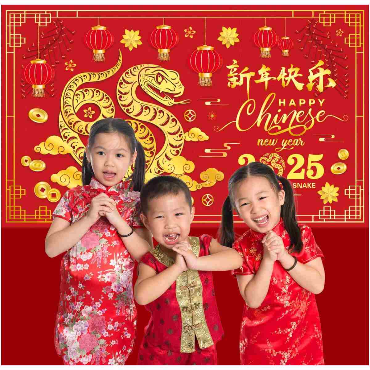 Chinese New Year Banner Backdrop Decorations 2025, Lunar New Year Backdrop Decorations 2025, Snake Chinese New Year Banner for Spring Festival Decorations 2025