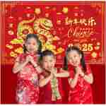 Chinese New Year Banner Backdrop Decorations 2025, Lunar New Year Backdrop Decorations 2025, Snake Chinese New Year Banner for Spring Festival Decorations 2025