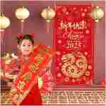 Chinese New Year Decoration 2025 Happy New Year Door Cover of The Snake 2025 Hanging Door Banner for Chinese New Year Door Decoration, New Year Eve Party Supplies
