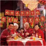 Chinese New Year Decorations 2025,Red Gold 16.4Ft Happy Lunar New Year Banner New Year Decorations 2025 Spring Festival Flag Bunting Garland NYE Eve Party Decorations Backdrop...