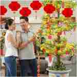 Chinese New Year Decorations 2025 Spring Festival Hanging Ornaments Paper Fans Red Lantern Happy New Year Banner Red Envelopes Chinese Fu Character Stickers for Lunar New Year...