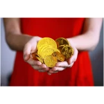 Foiled Again! 2025 Lunar New Year Chocolate Coins - Year of the Snake - Gold and Red Foil - Prosperity and Good Fortune Gift - Pure Belgian Chocolate Red Envelope Fill