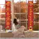 Happy Chinese New Year 2025 Banner Year of The Snake Front Porch Welcome Sign Asian Chinese New Year Party Decorations-12×71''