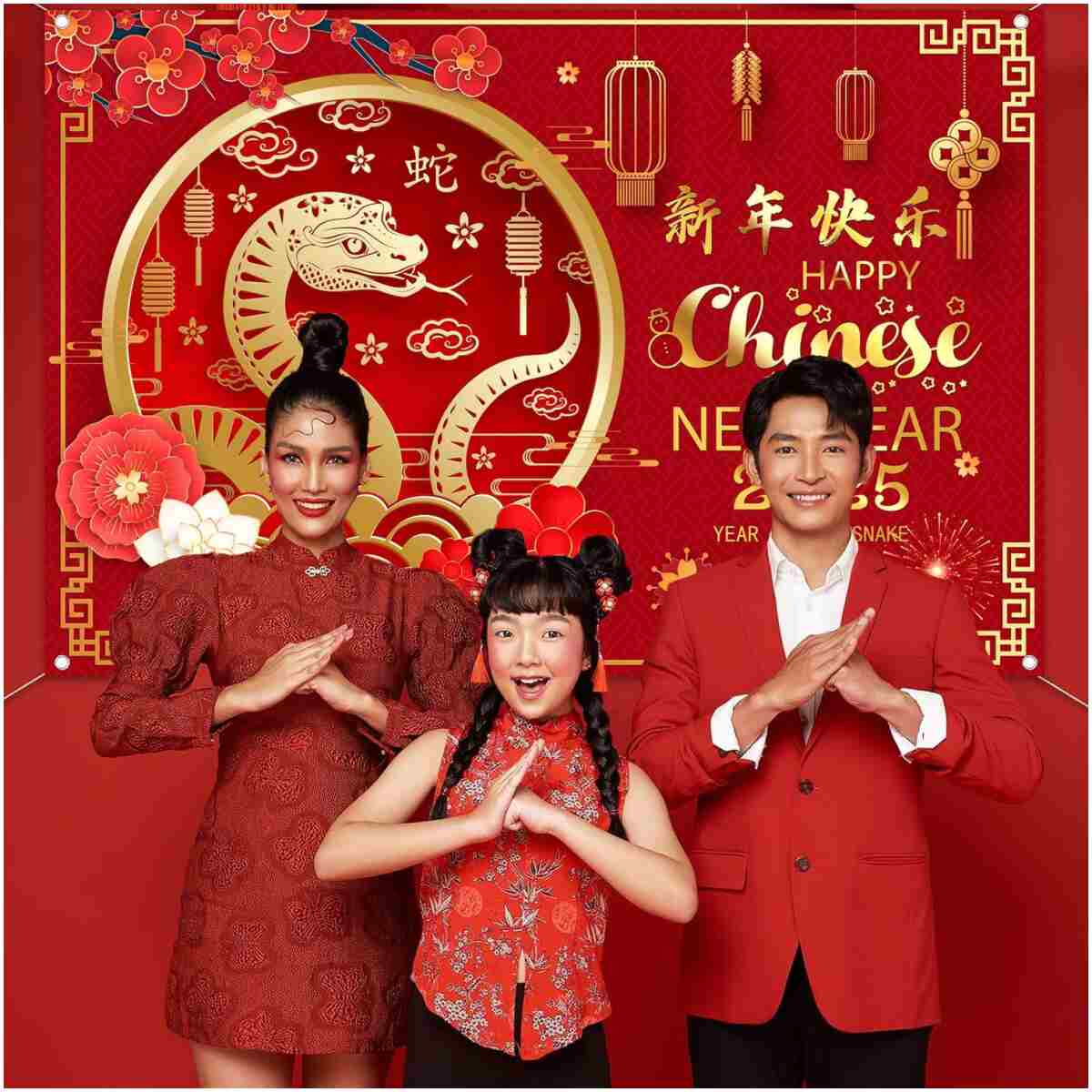 Happy Chinese New Year Banner 2025 Chinese New Year Decorations, Year of The Snake Lunar New Year Decorations, Chinese New Year Backdrop 2025 Chinese Spring Festival Decorations