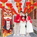 HOWAF Chinese New Year's Decoration Door Banner, Large Fabric 2025 New Year's Eve Party Door Cover, Year of the Snake Backdrop Banner for Spring Festival Party Supplies, Red...