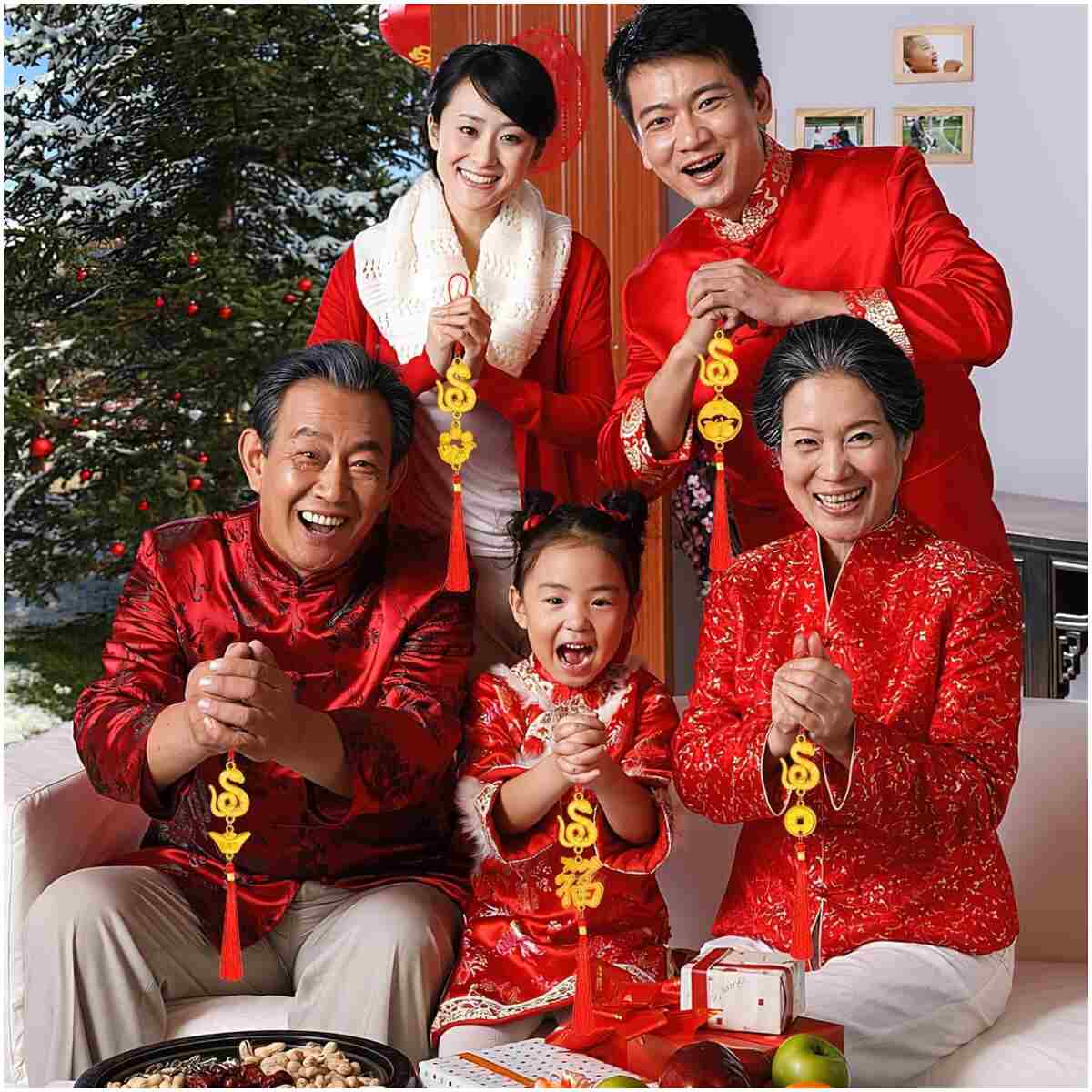 JULMELON 20PCS Chinese New Year Decorations 2025 Year of The Snake Gold Feng Shui Hanging Pendants Chinese Knot Good Lucky Ornaments for Car Spring Festival Lunar New Year...