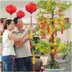 JULMELON 20PCS Chinese New Year Decorations 2025 Year of The Snake Gold Feng Shui Hanging Pendants Chinese Knot Good Lucky Ornaments for Car Spring Festival Lunar New Year...