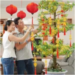 JULMELON 20PCS Chinese New Year Decorations 2025 Year of The Snake Gold Feng Shui Hanging Pendants Chinese Knot Good Lucky Ornaments for Car Spring Festival Lunar New Year...