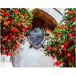 Whaline 36 Pieces Chinese New Year Decorations Chinese Knot Pendant Red Hanging Ornaments,Lucky Fu Pendants for New Year Home Office Car Trees Spring Festival New Year...