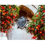 Whaline 36 Pieces Chinese New Year Decorations Chinese Knot Pendant Red Hanging Ornaments,Lucky Fu Pendants for New Year Home Office Car Trees Spring Festival New Year...