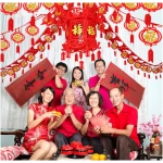 3 Sets Chinese New Year Hanging Ornaments Chinese New Year Garland Chinese Spring Festival Lantern for Lunar New Year Chinese New Year Spring Festival Home Restaurant Decoration