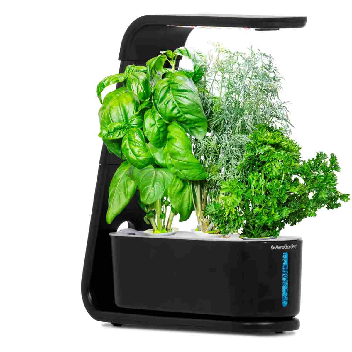 AeroGarden Sprout - Indoor Garden with LED Grow Light, Black
