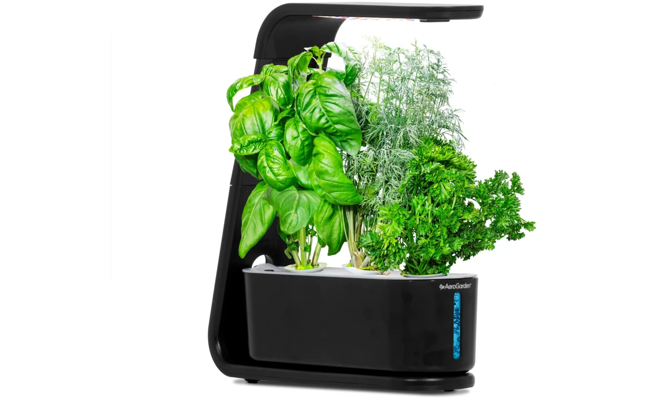 AeroGarden Sprout - Indoor Garden with LED Grow Light, Black