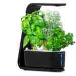 AeroGarden Sprout - Indoor Garden with LED Grow Light, Black