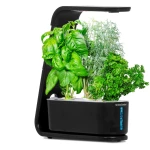 AeroGarden Sprout - Indoor Garden with LED Grow Light, Black