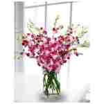 Amazon.com：优质切花紫色兰花（20枝带花瓶）（支持小型企业）：食品杂货和美食