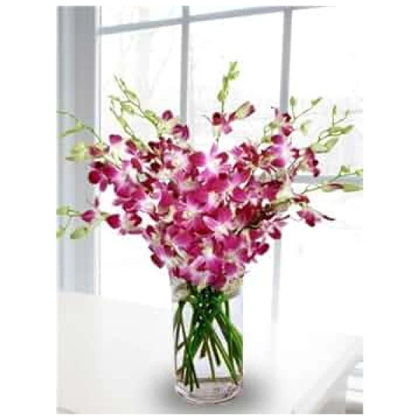 Amazon.com : Premium Cut Purple Orchids (20 stems with Vase) (Support Small Business) : Grocery & Gourmet Food