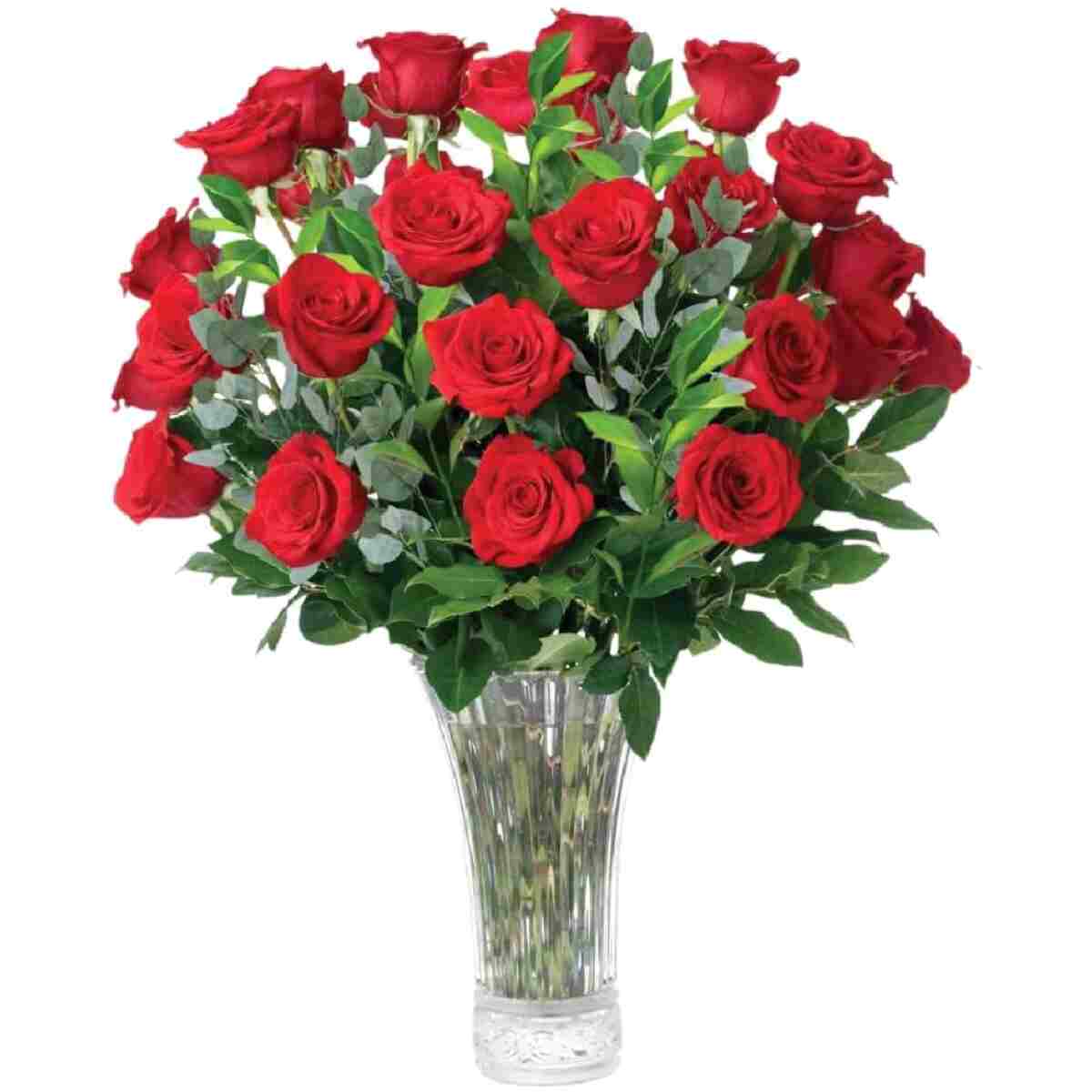 Aquarossa Farms - 24 Red Roses Bouquet, Mother's Day Gifts, Flowers Fresh Bouquet, Flowers for Delivery, Gift Idea for Her