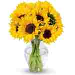 Benchmark Bouquets - 10 Stem Sunflowers (Glass Vase Included) – Fresh Flowers for Delivery - Gift for Easter, Mother’s Day, Birthday, Anniversary, Sympathy, Get Well,...