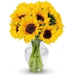Benchmark Bouquets - 10 Stem Sunflowers (Glass Vase Included) – Fresh Flowers for Delivery - Gift for Easter, Mother’s Day, Birthday, Anniversary, Sympathy, Get Well,...