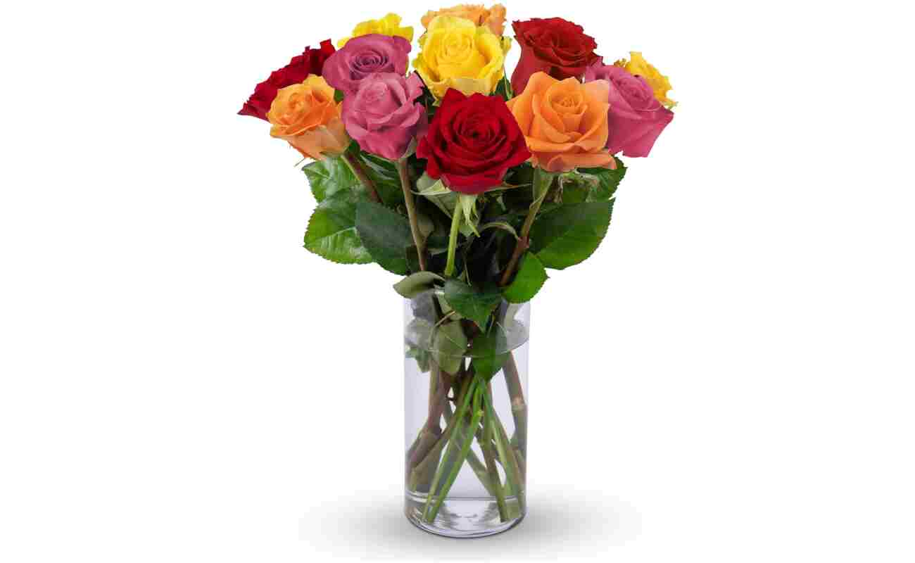 Benchmark Bouquets - 12 Stem Premium Rainbow Roses (Glass Vase Included) – Fresh Flowers for Delivery - Gift for Easter, Mother’s Day, Birthday, Anniversary, Sympathy, Get Well,...