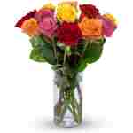 Benchmark Bouquets - 12 Stem Premium Rainbow Roses (Glass Vase Included) – Fresh Flowers for Delivery - Gift for Easter, Mother’s Day, Birthday, Anniversary, Sympathy, Get Well,...