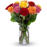 Benchmark Bouquets - 12 Stem Premium Rainbow Roses (Glass Vase Included) – Fresh Flowers for Delivery - Gift for Easter, Mother’s Day, Birthday, Anniversary, Sympathy, Get Well,...