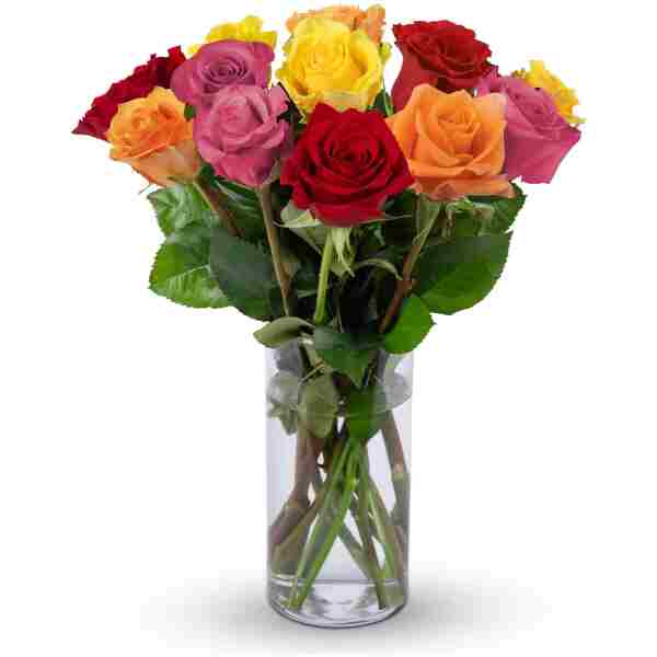 Benchmark Bouquets - 12 Stem Premium Rainbow Roses (Glass Vase Included) – Fresh Flowers for Delivery - Gift for Easter, Mother’s Day, Birthday, Anniversary, Sympathy, Get Well,...