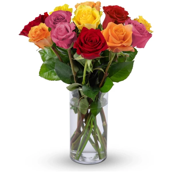 Benchmark Bouquets - 12 Stem Premium Rainbow Roses (Glass Vase Included) – Fresh Flowers for Delivery - Gift for Easter, Mother’s Day, Birthday, Anniversary, Sympathy, Get Well,...