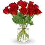 Benchmark Bouquets - 12 Stem Premium Red Roses (Glass Vase Included) – Fresh Flowers for Delivery - Gift for Easter, Mother’s Day, Birthday, Anniversary, Sympathy, Get Well,...