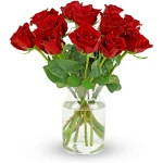 Benchmark Bouquets - 12 Stem Premium Red Roses (Glass Vase Included) – Fresh Flowers for Delivery - Gift for Easter, Mother’s Day, Birthday, Anniversary, Sympathy, Get Well,...
