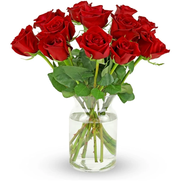 Benchmark Bouquets - 12 Stem Premium Red Roses (Glass Vase Included) – Fresh Flowers for Delivery - Gift for Easter, Mother’s Day, Birthday, Anniversary, Sympathy, Get Well,...